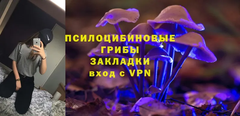 Галлюциногенные грибы MAGIC MUSHROOMS  Кольчугино 